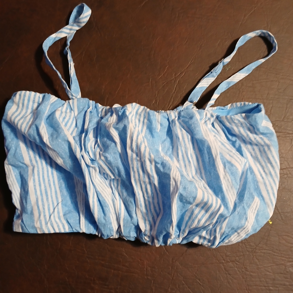 Wild Fable Blue and White Striped Crop Top